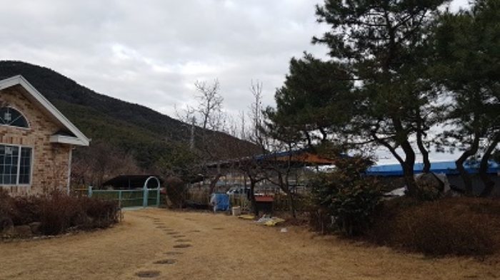 대구 군위군 부계면 단독주택 경매 물건 사진 4 · 2024타경141
