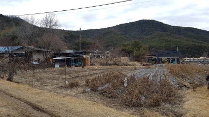 대구 군위군 부계면 단독주택 경매 물건 사진 5 · 2024타경141