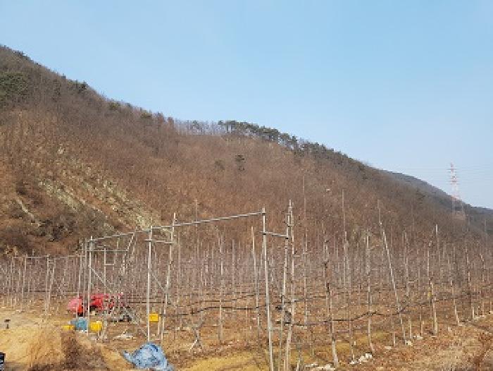 경북 청송군 파천면 임야 경매 물건 사진 6 · 2025타경10060