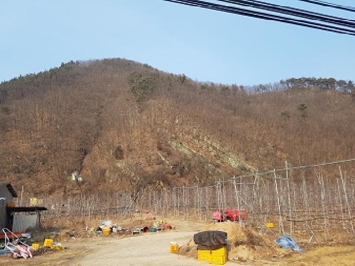 경북 청송군 파천면 임야 경매 물건 사진 3 · 2025타경10060