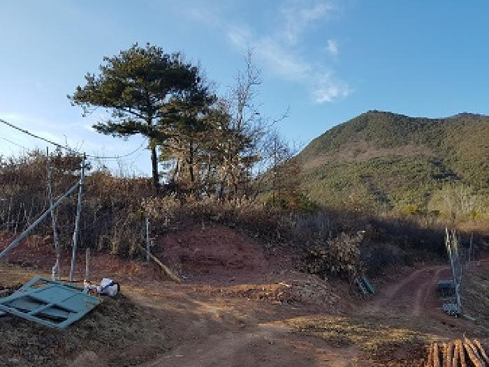 경북 청송군 청송읍 임야 경매 물건 사진