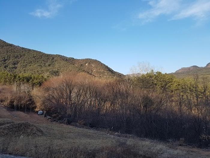 경북 청송군 청송읍 임야 경매 물건 사진 4 · 2025타경10107