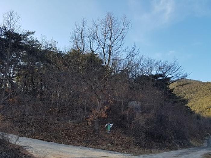경북 청송군 청송읍 임야 경매 물건 사진 6 · 2025타경10107