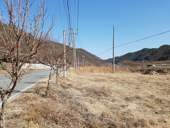 경북 의성군 사곡면 전 경매 물건 사진 4 · 2025타경10137