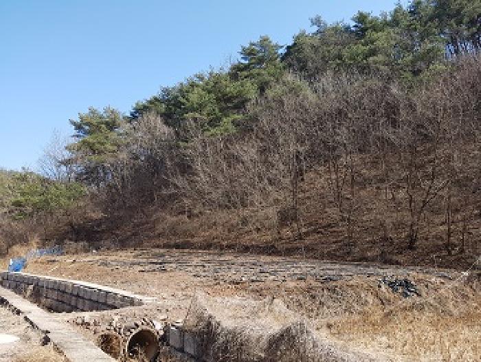 경북 의성군 사곡면 전 경매 물건 사진 6 · 2025타경10137