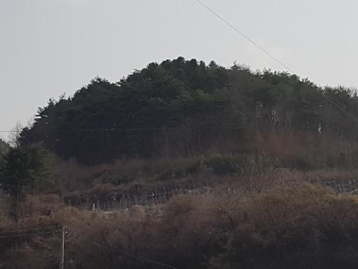 경북 의성군 옥산면 전 경매 물건 사진 2 · 2025타경10140