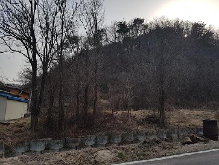 경북 의성군 옥산면 전 경매 물건 사진 6 · 2025타경10140