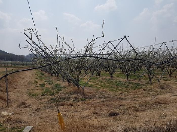 경북 의성군 옥산면 답 경매 물건 사진 4 · 2025타경10150