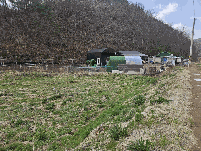 경상북도 의성군 봉양면 풍리리 1235 전 경매 물건 사진