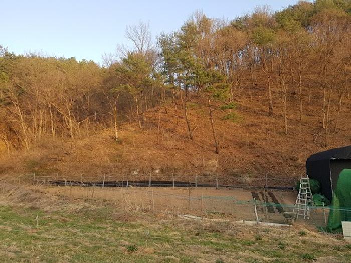 경북 의성군 봉양면 전 경매 물건 사진