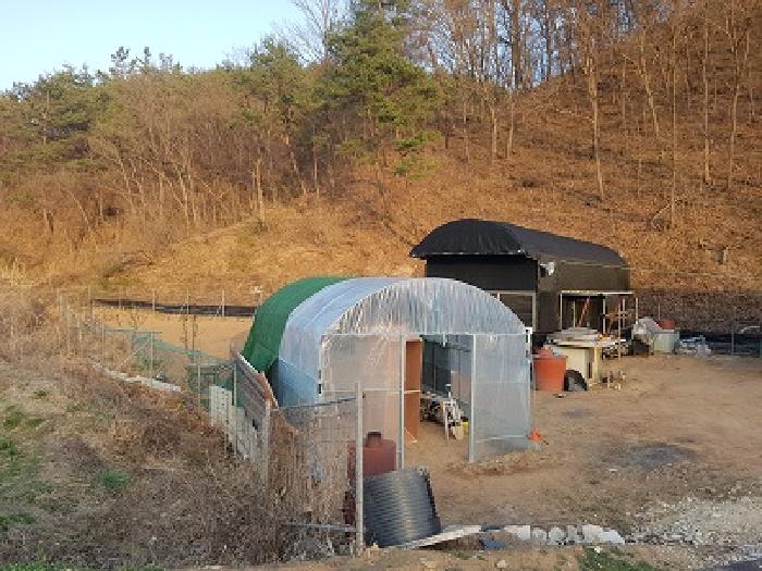 경북 의성군 봉양면 전 경매 물건 사진 3 · 2025타경10152