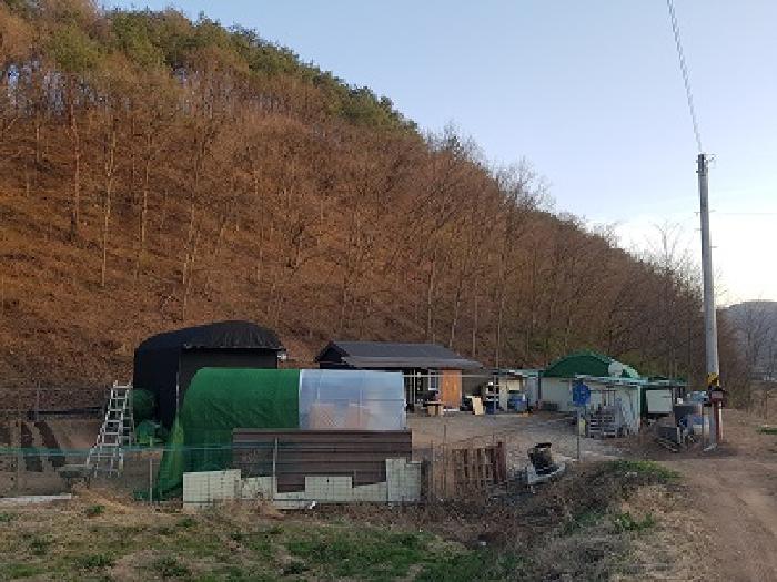 경북 의성군 봉양면 전 경매 물건 사진 4 · 2025타경10152