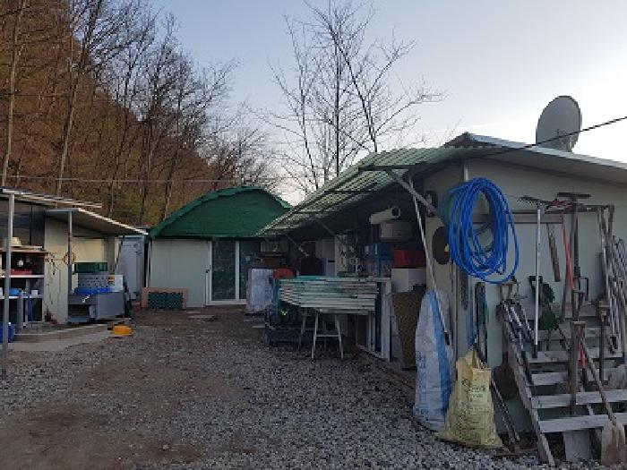 경북 의성군 봉양면 전 경매 물건 사진 6 · 2025타경10152
