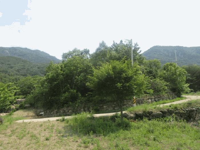 대구 군위군 삼국유사면 임야 경매 물건 사진 4 · 2025타경10184