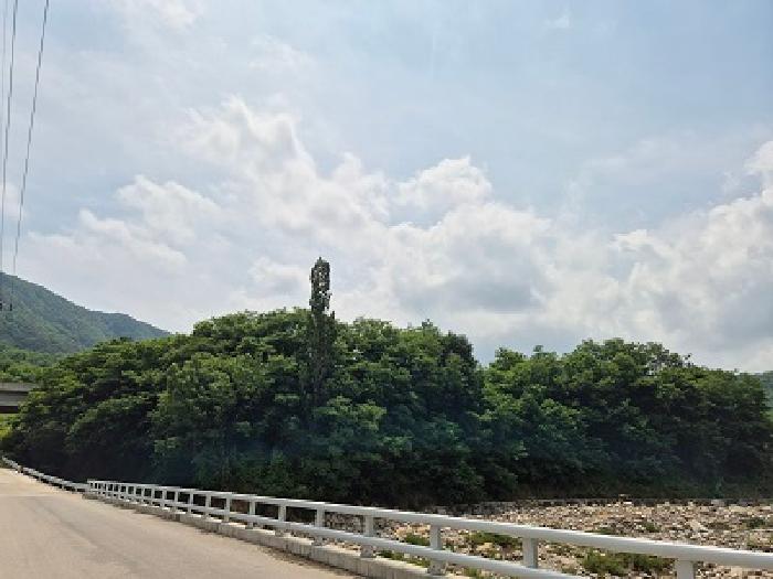 대구 군위군 부계면 답 경매 물건 사진