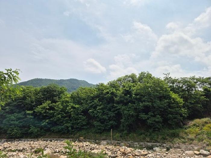 대구 군위군 부계면 답 경매 물건 사진 2 · 2025타경10197