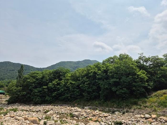 대구 군위군 부계면 답 경매 물건 사진 3 · 2025타경10197