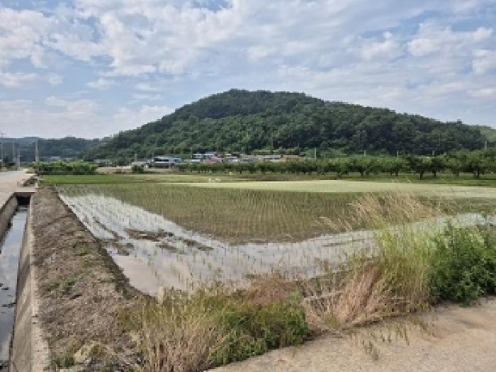 경북 의성군 봉양면 답 경매 물건 사진 2 · 2025타경10204