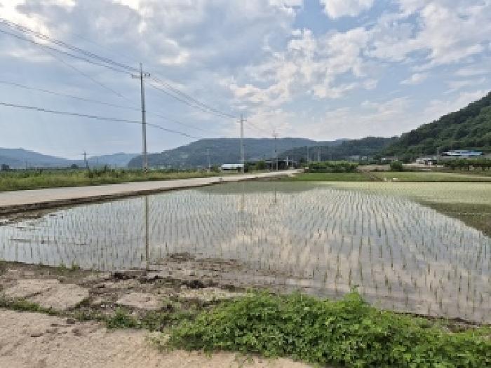 경북 의성군 봉양면 답 경매 물건 사진 3 · 2025타경10204