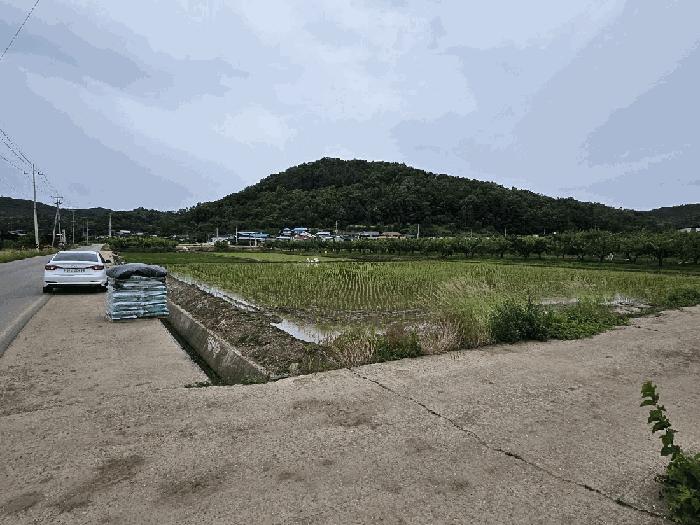 경북 의성군 봉양면 답 경매 물건 사진 4 · 2025타경10204