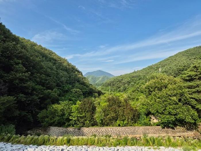 경북 청송군 현동면 대지,임야,전답 경매 물건 사진