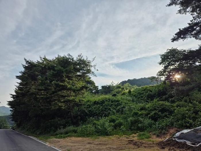 경북 청송군 주왕산면 전 경매 물건 사진