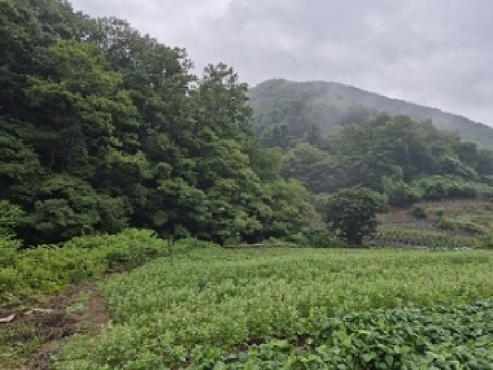 경북 의성군 옥산면 전 경매 물건 사진 5 · 2025타경10227