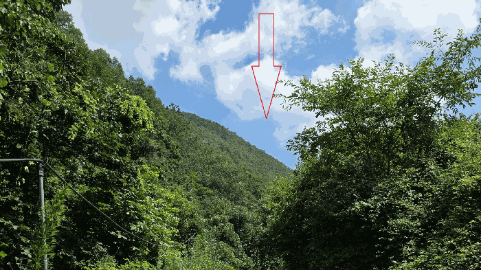 경북 의성군 옥산면 임야 경매 물건 사진 4 · 2025타경10238