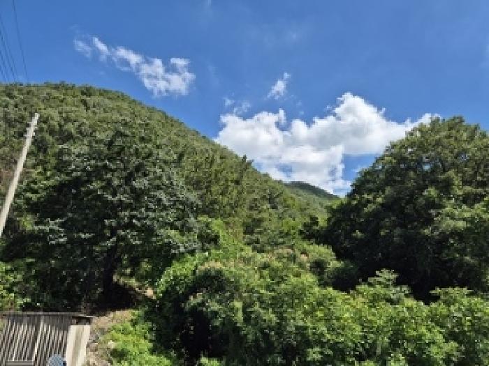 경북 의성군 옥산면 임야 경매 물건 사진