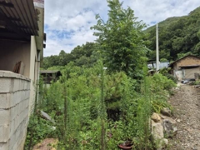 경북 의성군 봉양면 대지 경매 물건 사진 3 · 2025타경10250