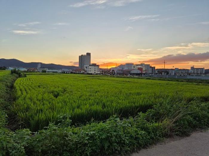 경북 청송군 진보면 답 경매 물건 사진 2 · 2025타경10254
