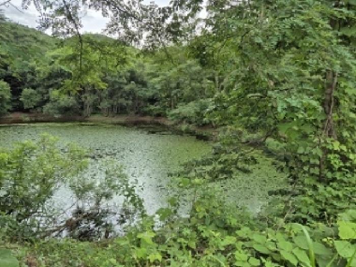 경북 의성군 금성면 답 경매 물건 사진 3 · 2025타경10255