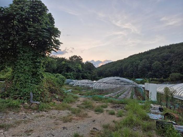 대구 군위군 효령면 답 경매 물건 사진