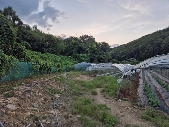 대구 군위군 효령면 답 경매 물건 사진 2 · 2025타경10264