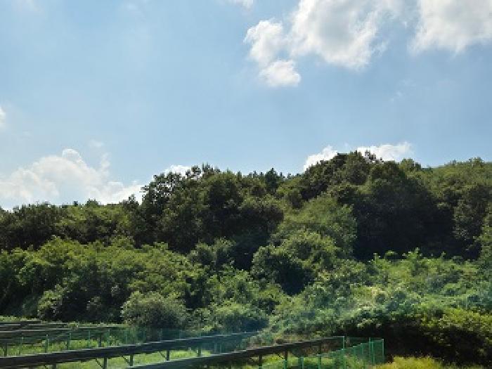 경북 의성군 안계면 전답 경매 물건 사진