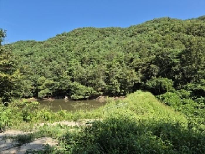 경북 의성군 안사면 임야 경매 물건 사진 5 · 2025타경10270