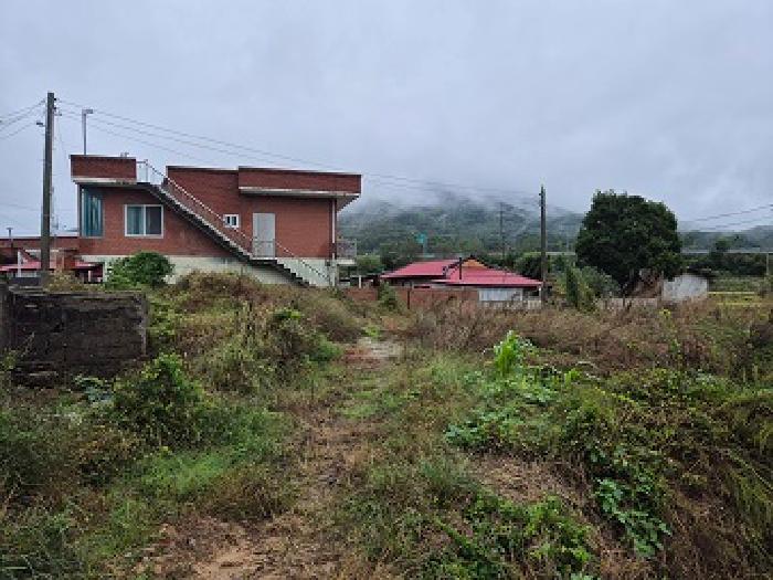 경북 의성군 다인면 대지 경매 물건 사진
