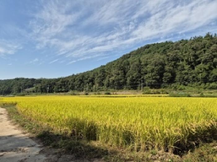 경북 의성군 금성면 답 경매 물건 사진 2 · 2025타경10287