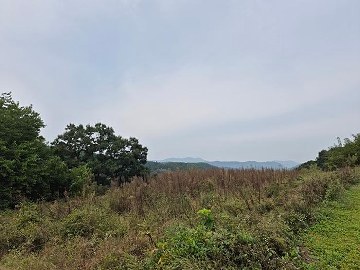 대구 군위군 부계면 전답 경매 물건 사진