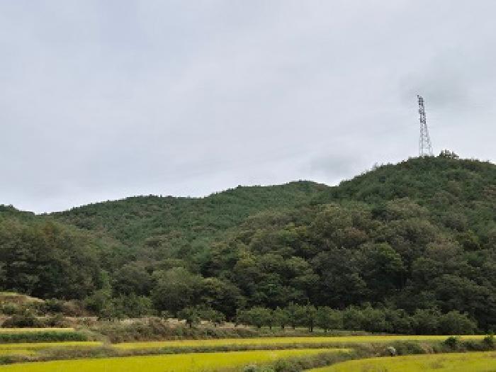 대구 군위군 소보면 전답 경매 물건 사진