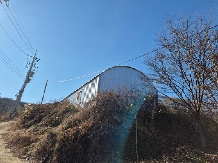 경북 의성군 비안면 전답 경매 물건 사진