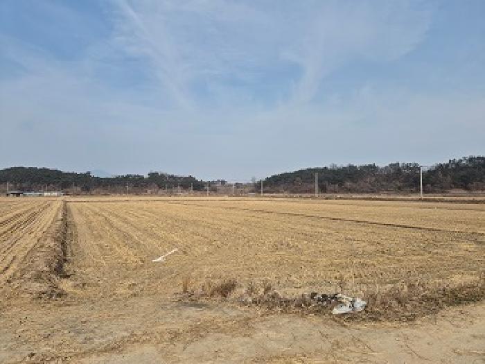경북 의성군 단북면 전답 경매 물건 사진