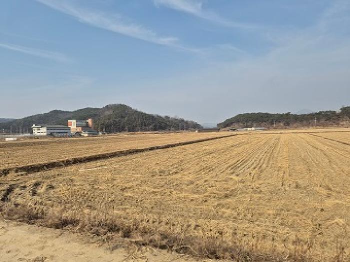 경북 의성군 단북면 전답 경매 물건 사진 2 · 2025타경10355