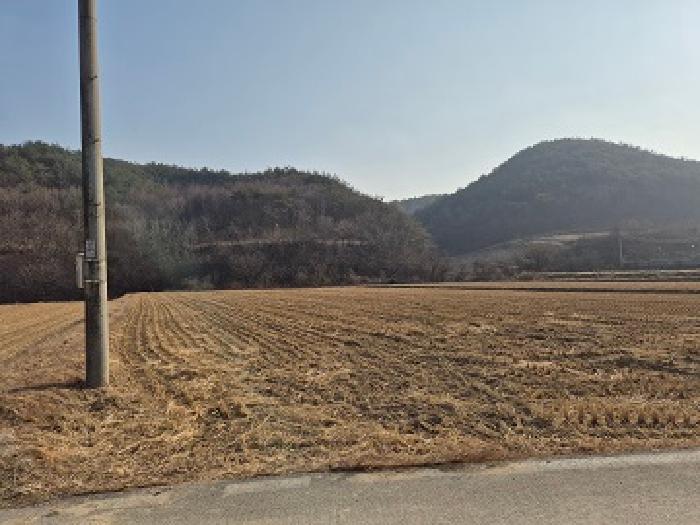 경북 청송군 부남면 대지,임야,전답 경매 물건 사진