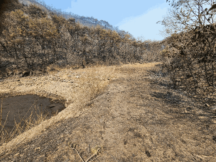 경상북도 의성군 점곡면 사촌리 29 답 경매 물건 사진
