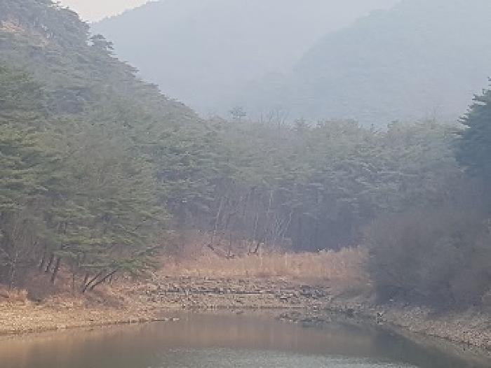 경북 의성군 점곡면 답 경매 물건 사진
