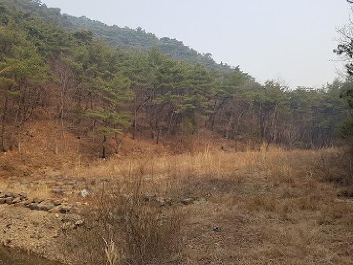 경북 의성군 점곡면 답 경매 물건 사진 2 · 2025타경162
