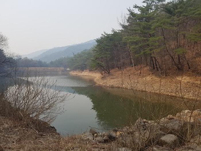 경북 의성군 점곡면 답 경매 물건 사진 3 · 2025타경162