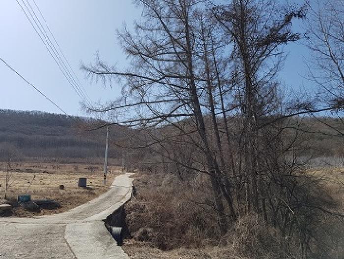 경북 청송군 부남면 임야 경매 물건 사진 2 · 2025타경179