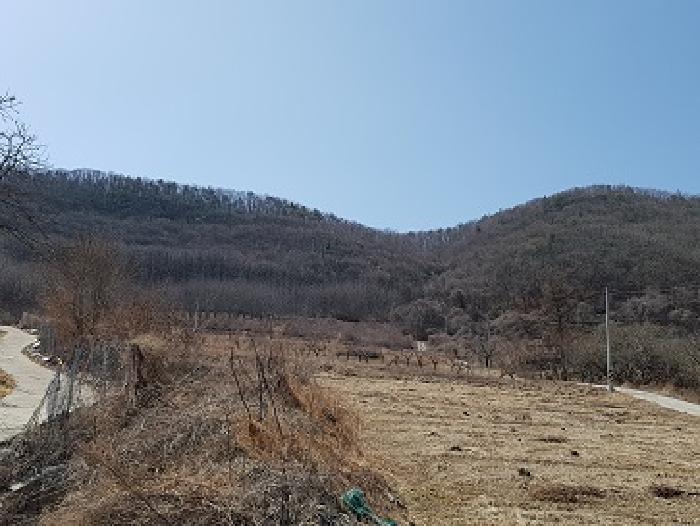 경북 청송군 부남면 임야 경매 물건 사진 4 · 2025타경179